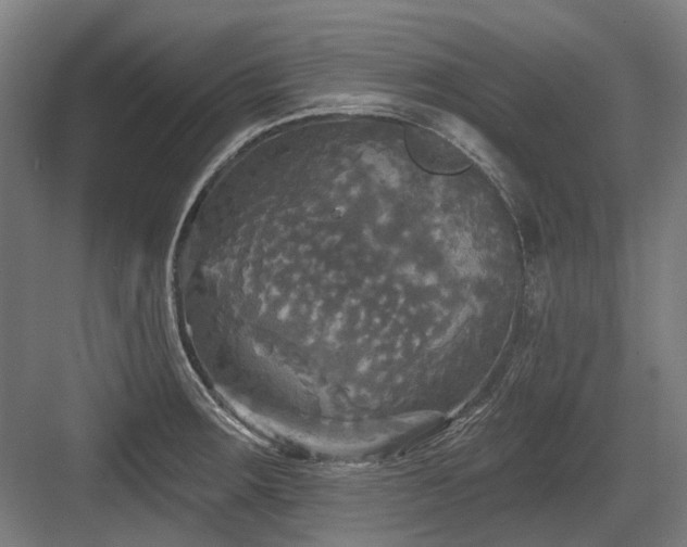 X0000083651283200702121140