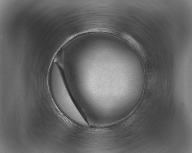 X0000083651284200702121140