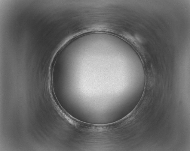 X0000083651286200702121140