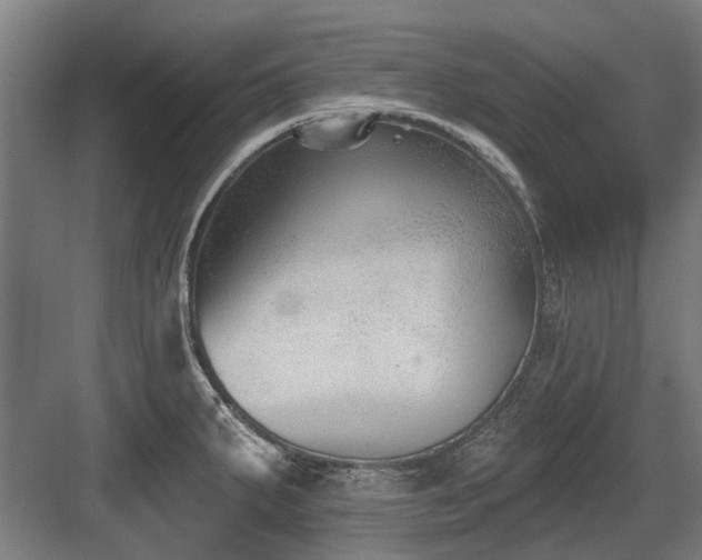 X0000083651287200702121140