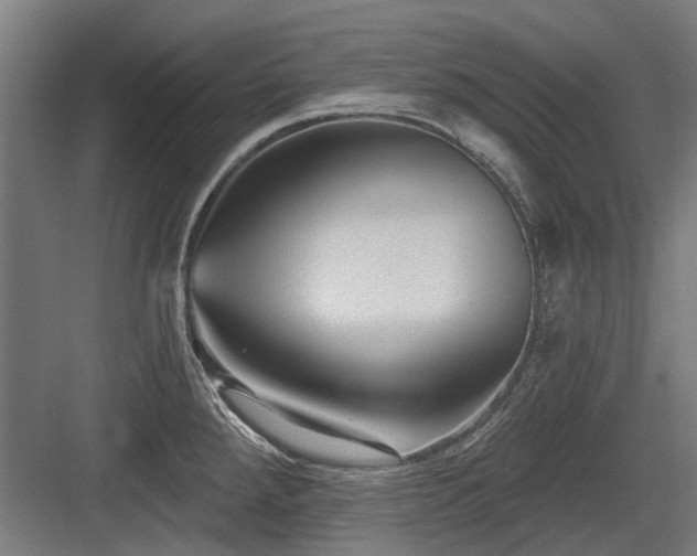 X0000083651288200702121140