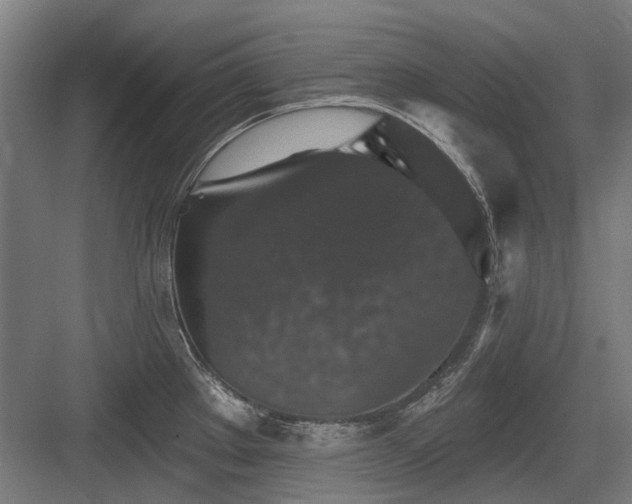X0000083651289200702121140