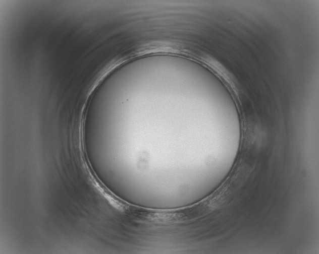 X0000083651290200702121140