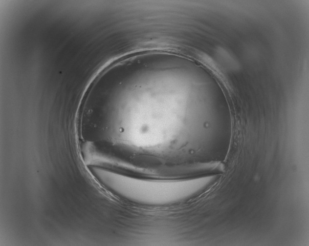 X0000083651291200702121140