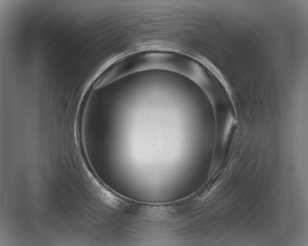 X0000083651293200702121140