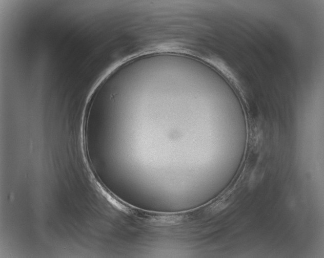 X0000083651294200702121140