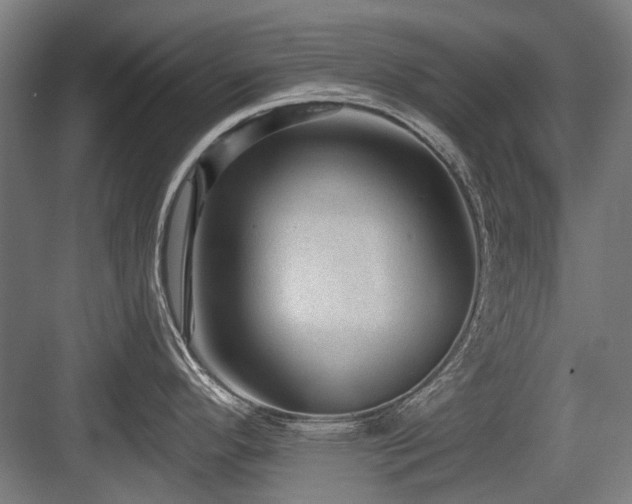 X0000083651296200702121140