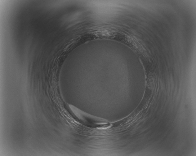 X0000083651297200702121139