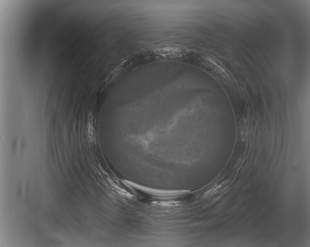 X0000083651298200702121139