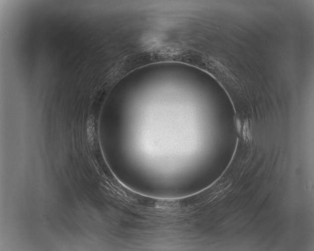X0000083651299200702121139