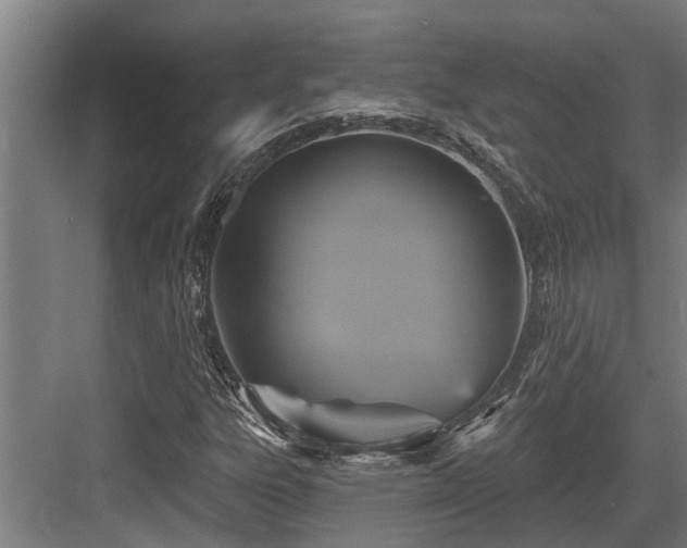 X0000083651303200702121139