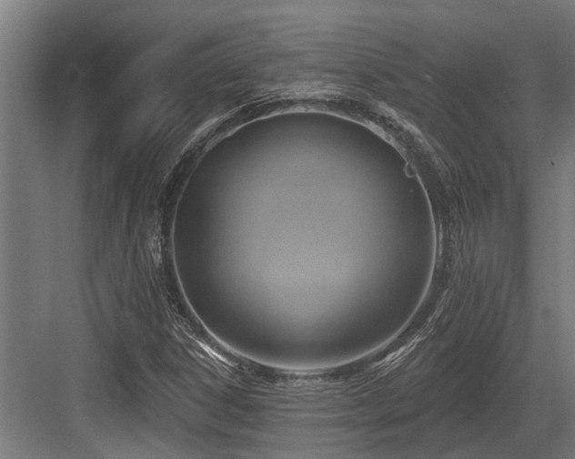 X0000083651306200702121139