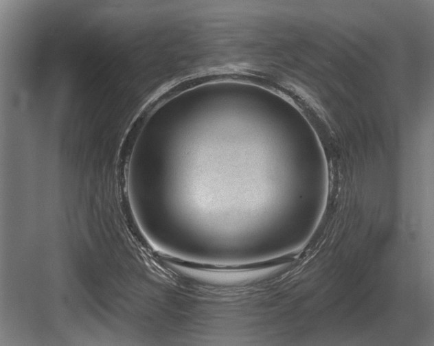 X0000083651308200702121139