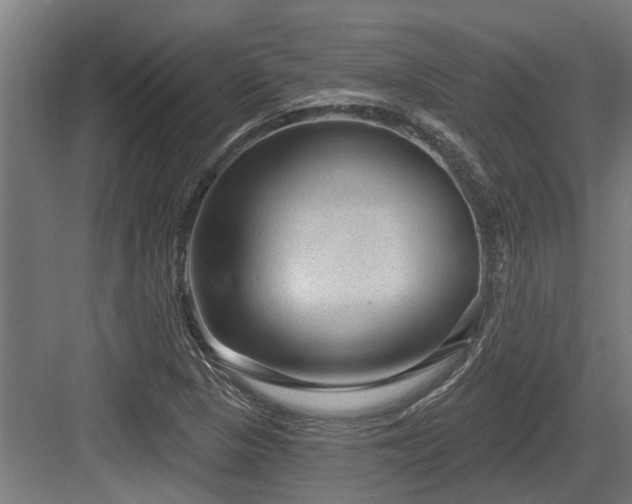X0000083651313200702121140