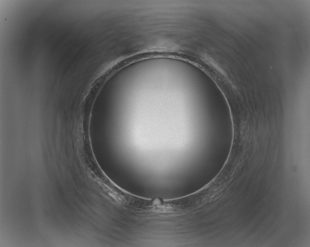 X0000083651315200702121140