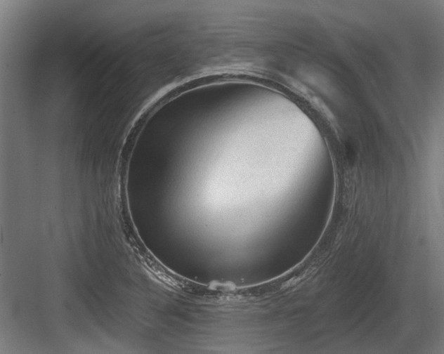 X0000083651316200702121140