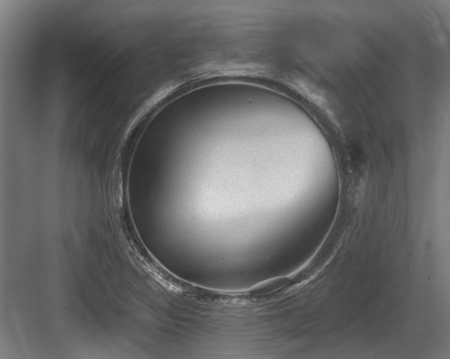 X0000083651317200702121140