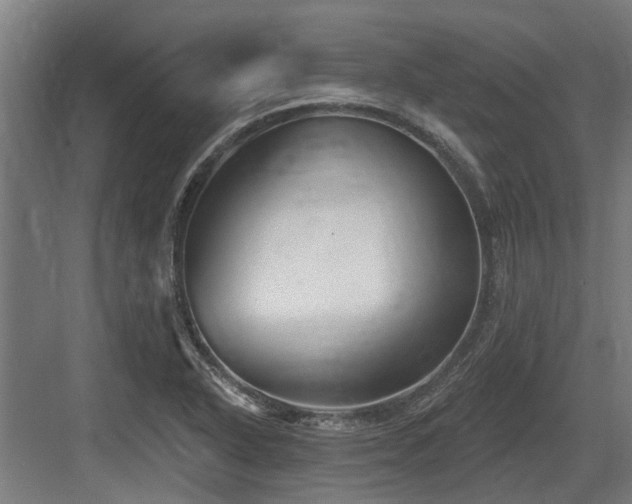 X0000083651318200702121140