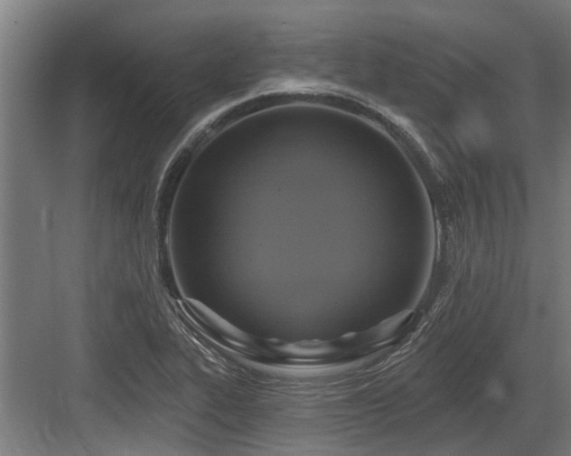 X0000083651319200702121140