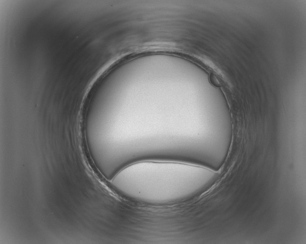 X0000083651325200702121140