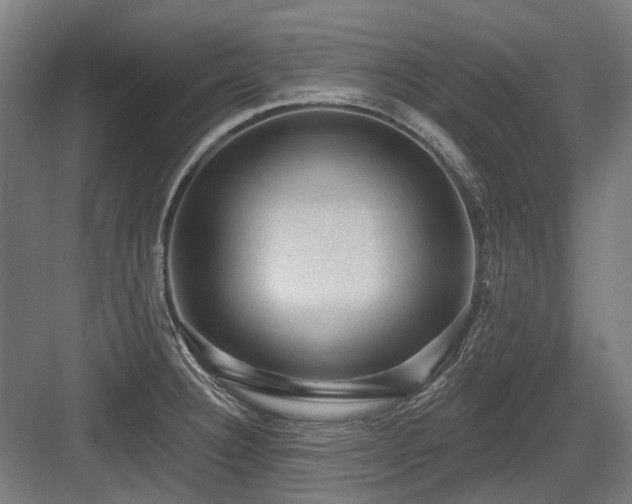X0000083651332200702121140