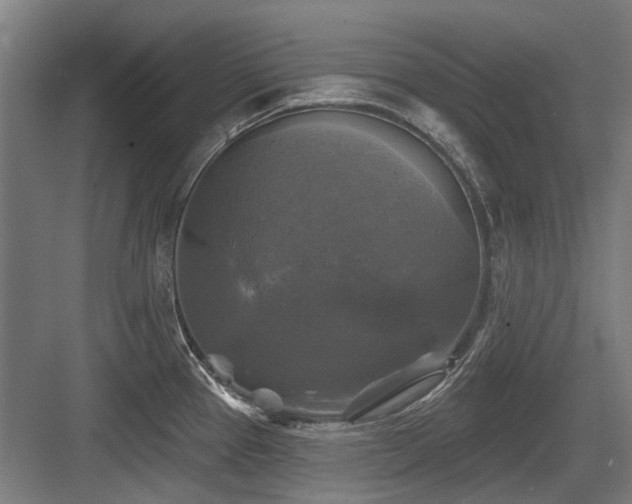 X0000083651337200702121140