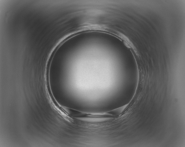 X0000083651339200702121140