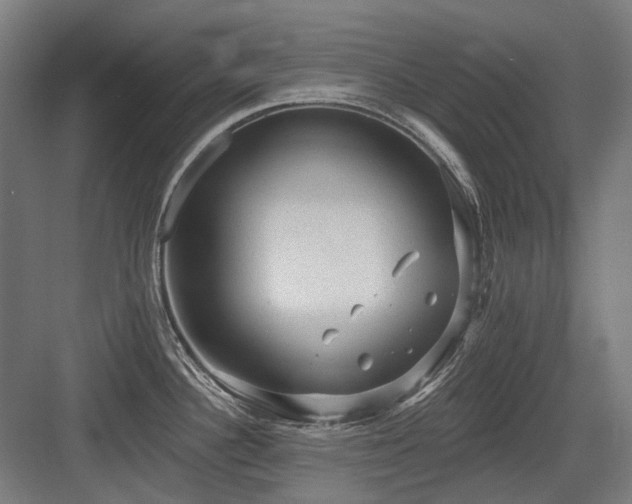 X0000083651340200702121140
