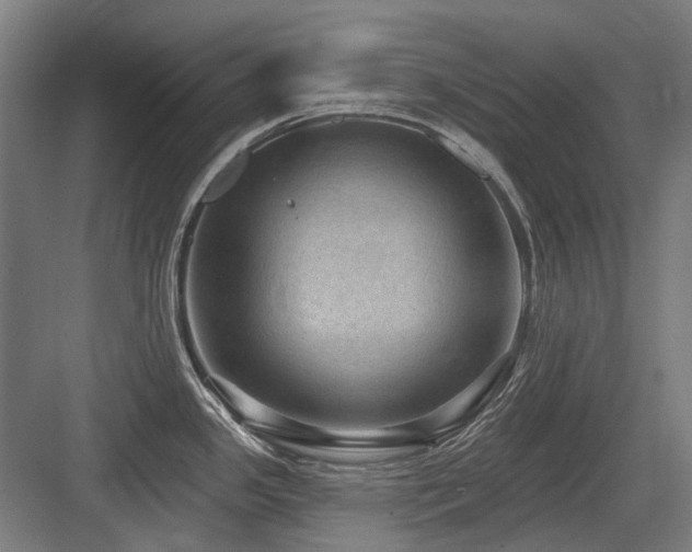 X0000083651341200702121140