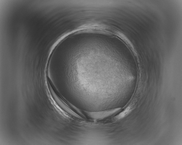 X0000083651344200702121140