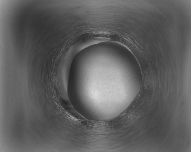 X0000083651345200702121139