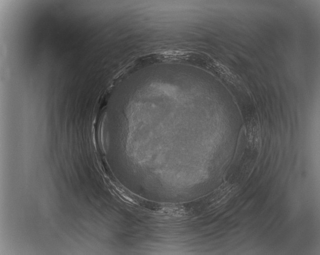X0000083651346200702121139