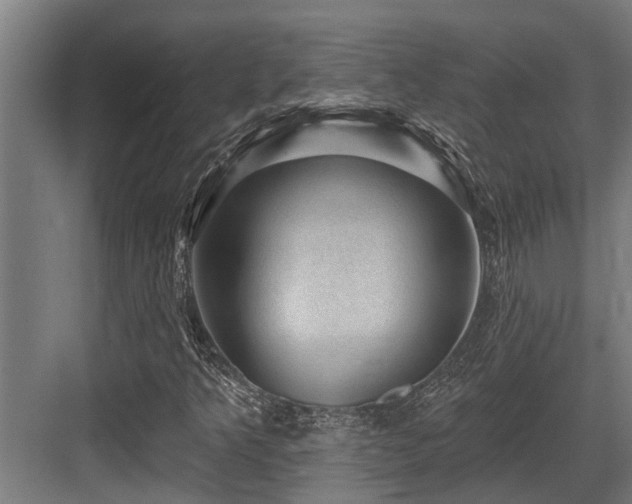 X0000083651349200702121139