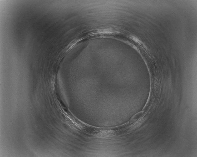 X0000083651353200702121139