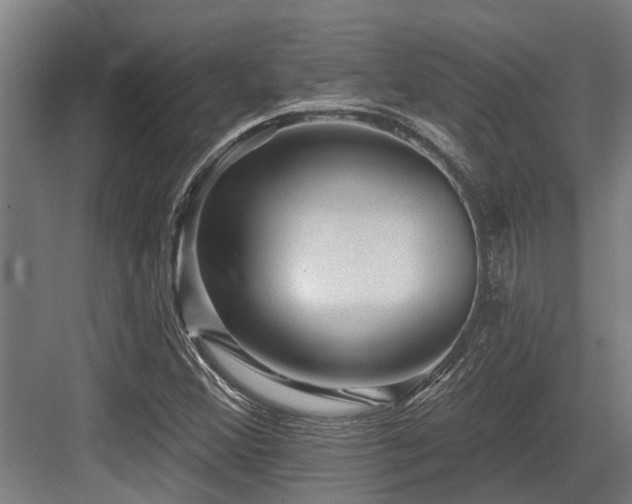 X0000083651356200702121139