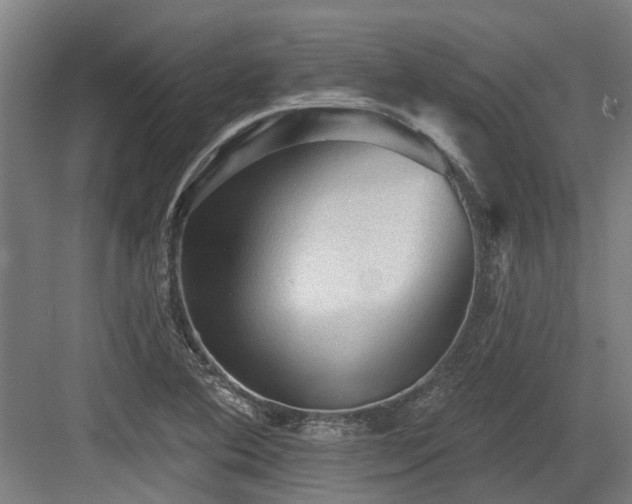 X0000083651364200702121139