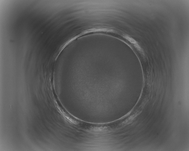 X0000083651369200702121139