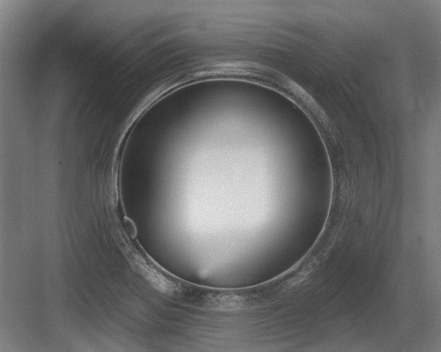 X0000083651370200702121139