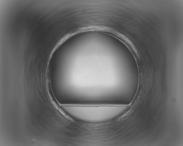 X0000083651373200702121139