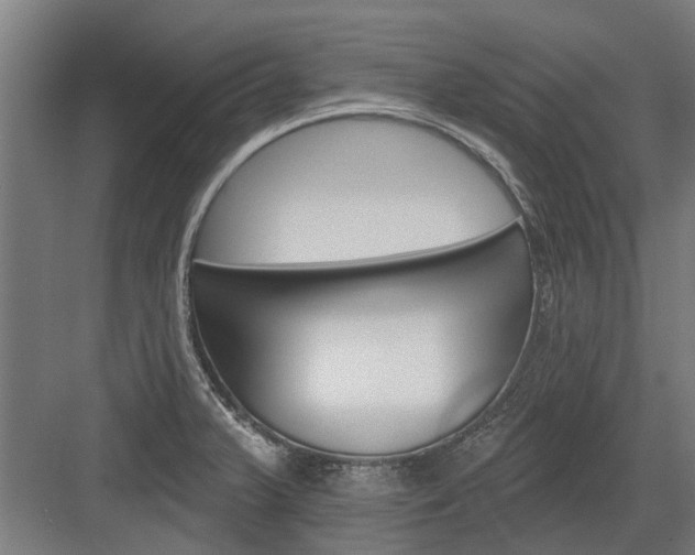 X0000083651375200702121139