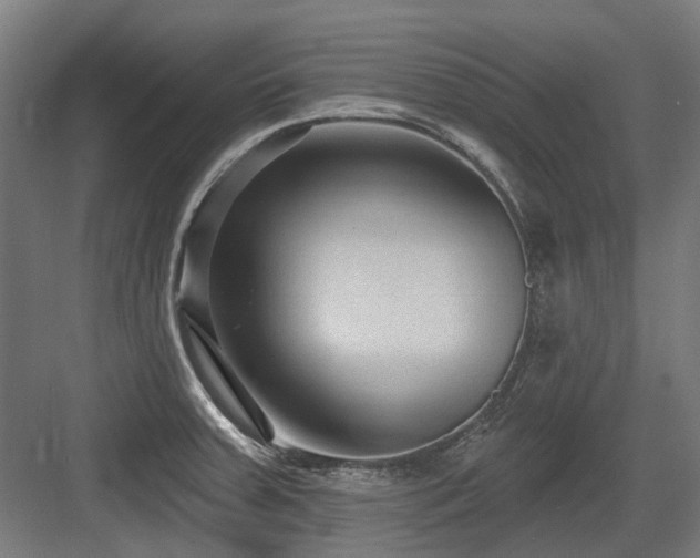 X0000083651379200702121139