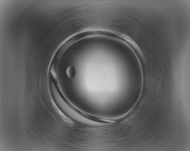 X0000083651380200702121139
