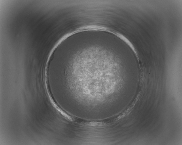 X0000083651381200702121139