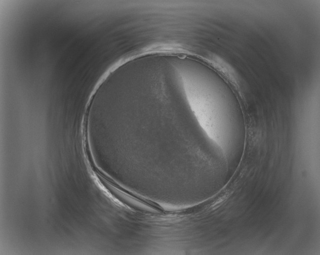 X0000083651382200702121139