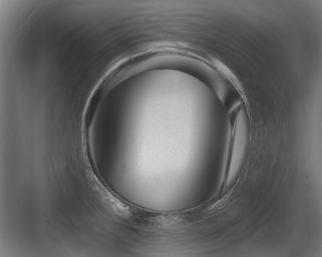X0000083651384200702121139