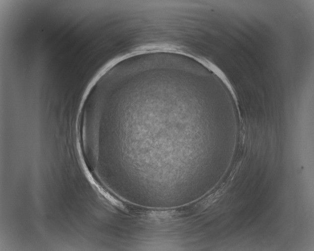 X0000083651389200702121139