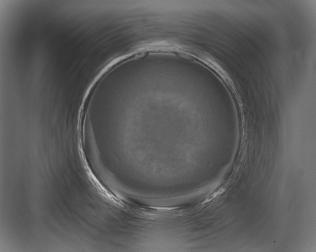 X0000083651392200702121138