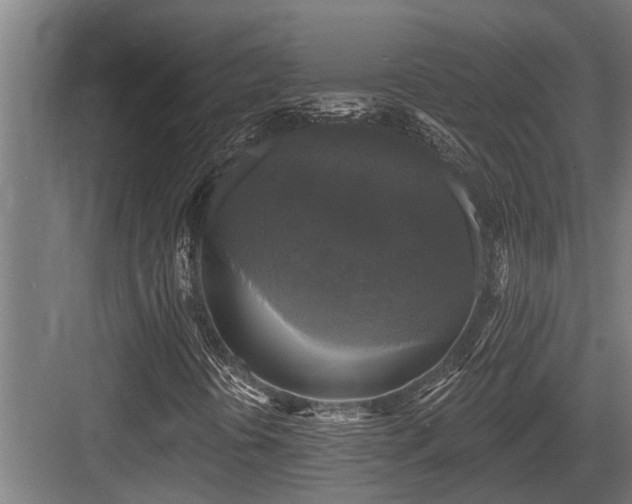 X0000083651394200702121138