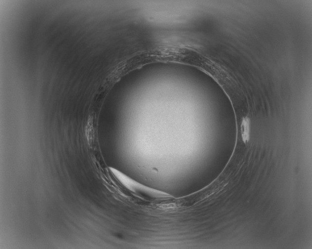 X0000083651395200702121138