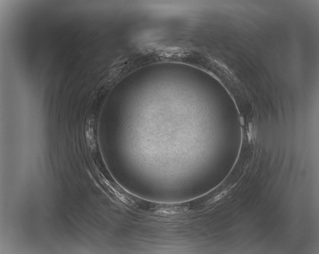 X0000083651396200702121138
